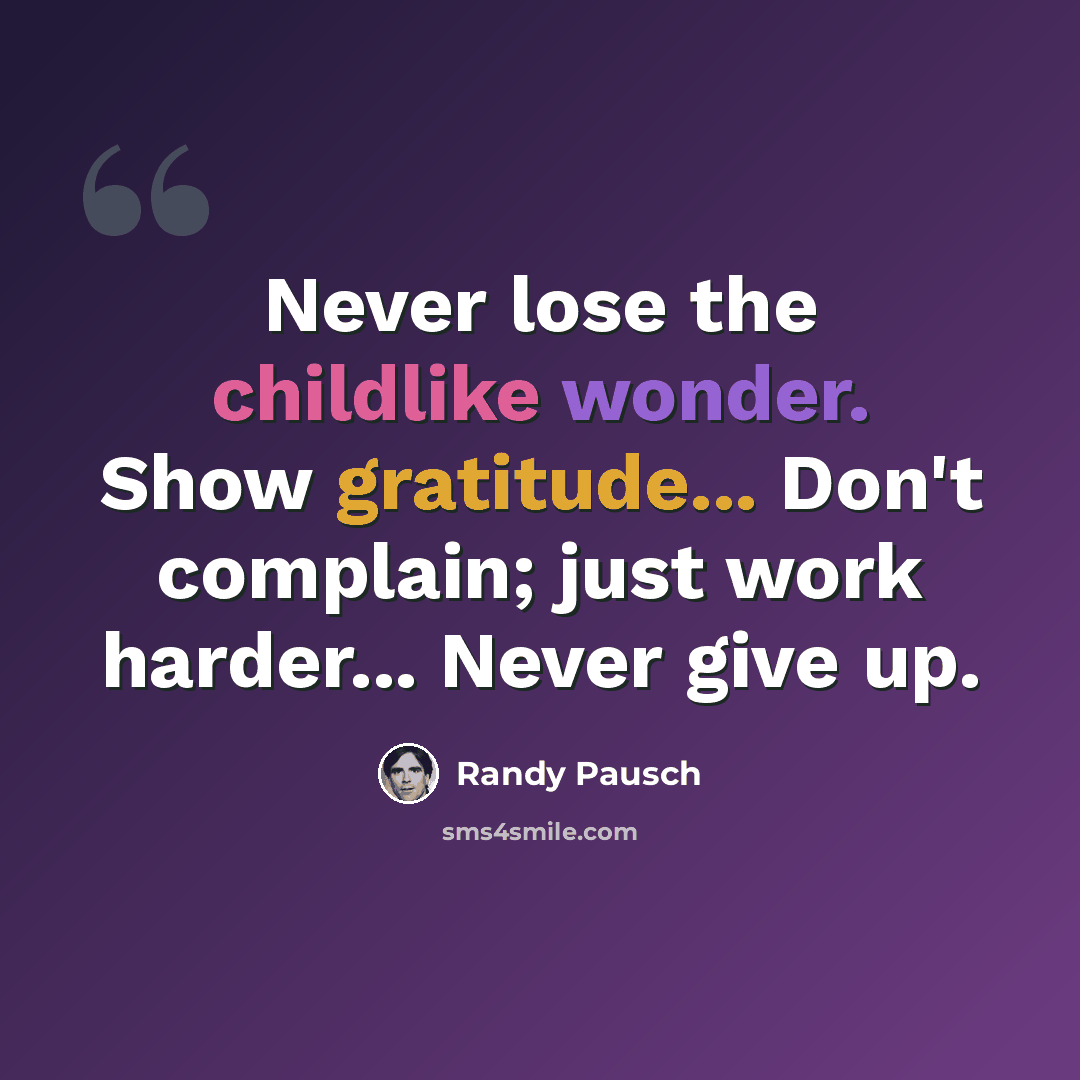 “Never lose the childlike wonder. Show gratitude... Don't complain; just work harder... Never give up.” quote by Randy Pausch