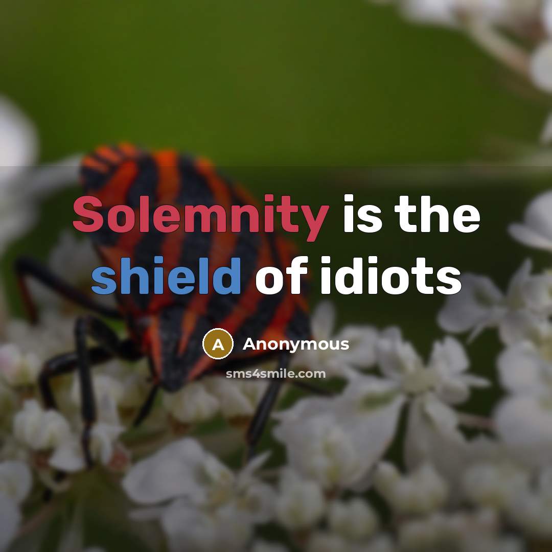 “Solemnity is the shield of idiots” quote by Anonymous