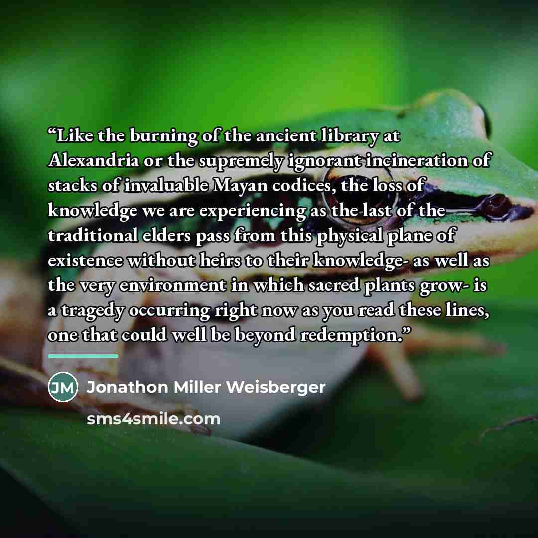 “Like the burning of the ancient library at Alexandria or the supremely ignorant incineration of stacks of invaluable Mayan codices, the loss of knowledge we are experiencing as the last of the traditional elders pass from this physical plane of existence without heirs to their knowledge- as well…” quote by Jonathon Miller Weisberger