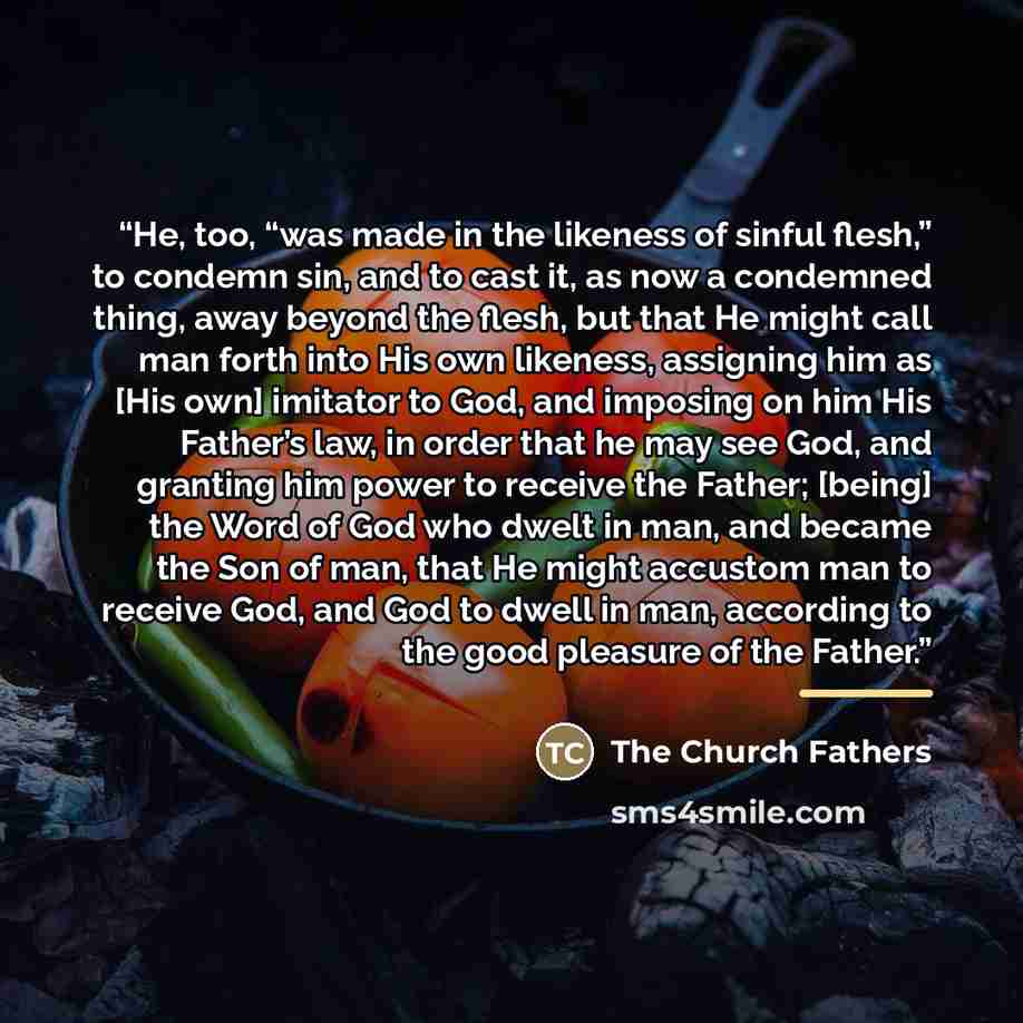 “He, too, “was made in the likeness of sinful flesh,” to condemn sin, and to cast it, as now a condemned thing, away beyond the flesh, but that He might call man forth into His own likeness, assigning him as [His own] imitator to God, and imposing on him His Father’s law, in order that he may see…” quote by The Church Fathers