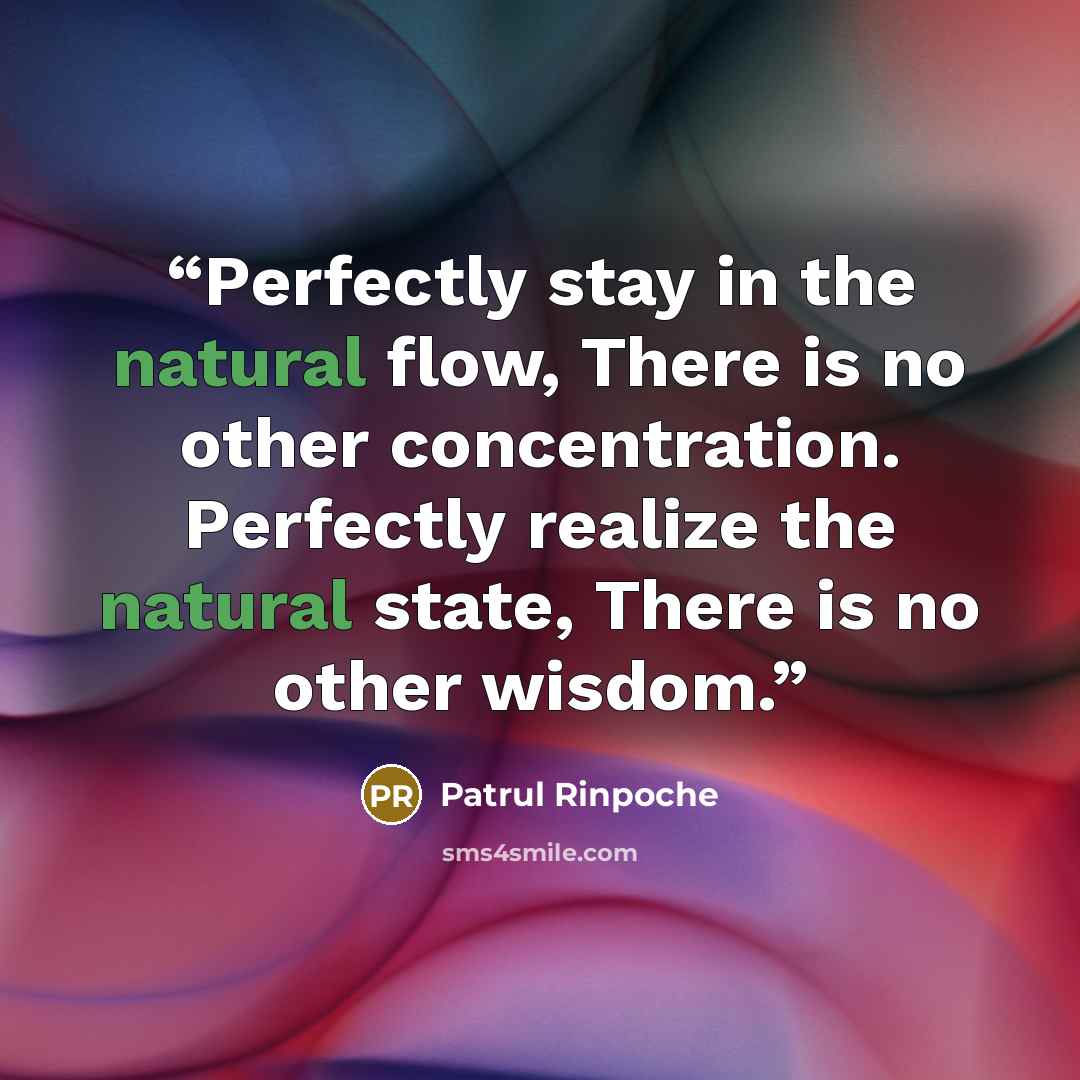 “Perfectly stay in the natural flow, There is no other concentration. Perfectly realize the natural state, There is no other wisdom.” quote by Patrul Rinpoche