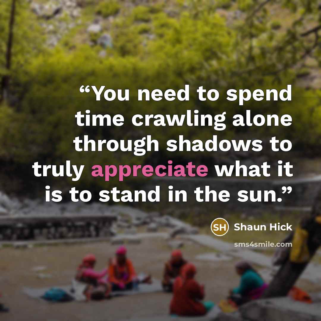“You need to spend time crawling alone through shadows to truly appreciate what it is to stand in the sun.” quote by Shaun Hick