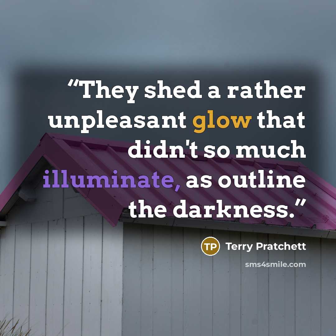 “They shed a rather unpleasant glow that didn't so much illuminate, as outline the darkness.” quote by Terry Pratchett