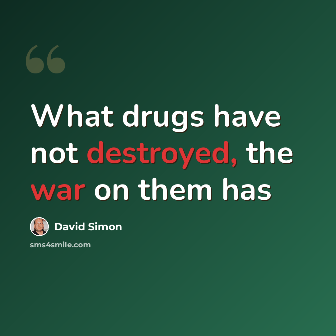 “What drugs have not destroyed, the war on them has” quote by David Simon