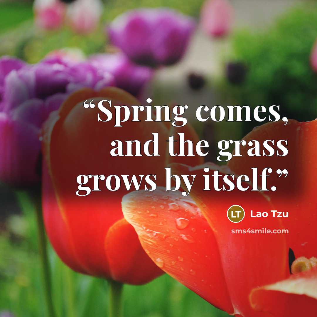 “Spring comes, and the grass grows by itself.” quote by Lao Tzu