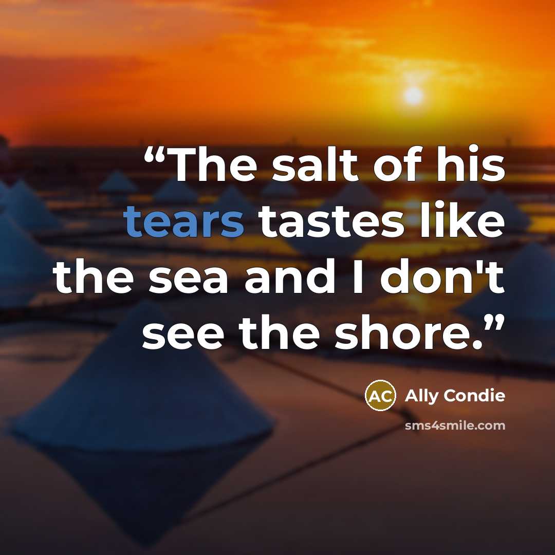 “The salt of his tears tastes like the sea and I don't see the shore.” quote by Ally Condie