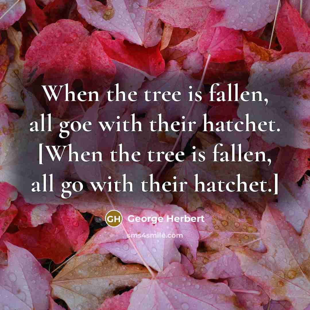 “When the tree is fallen, all goe with their hatchet. [When the tree is fallen, all go with their hatchet.]” quote by George Herbert
