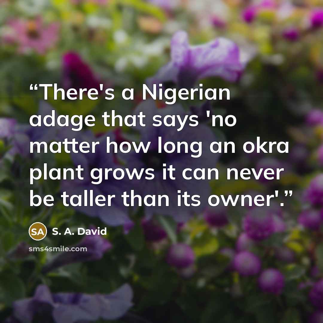 “There's a Nigerian adage that says 'no matter how long an okra plant grows it can never be taller than its owner'.” quote by S. A. David