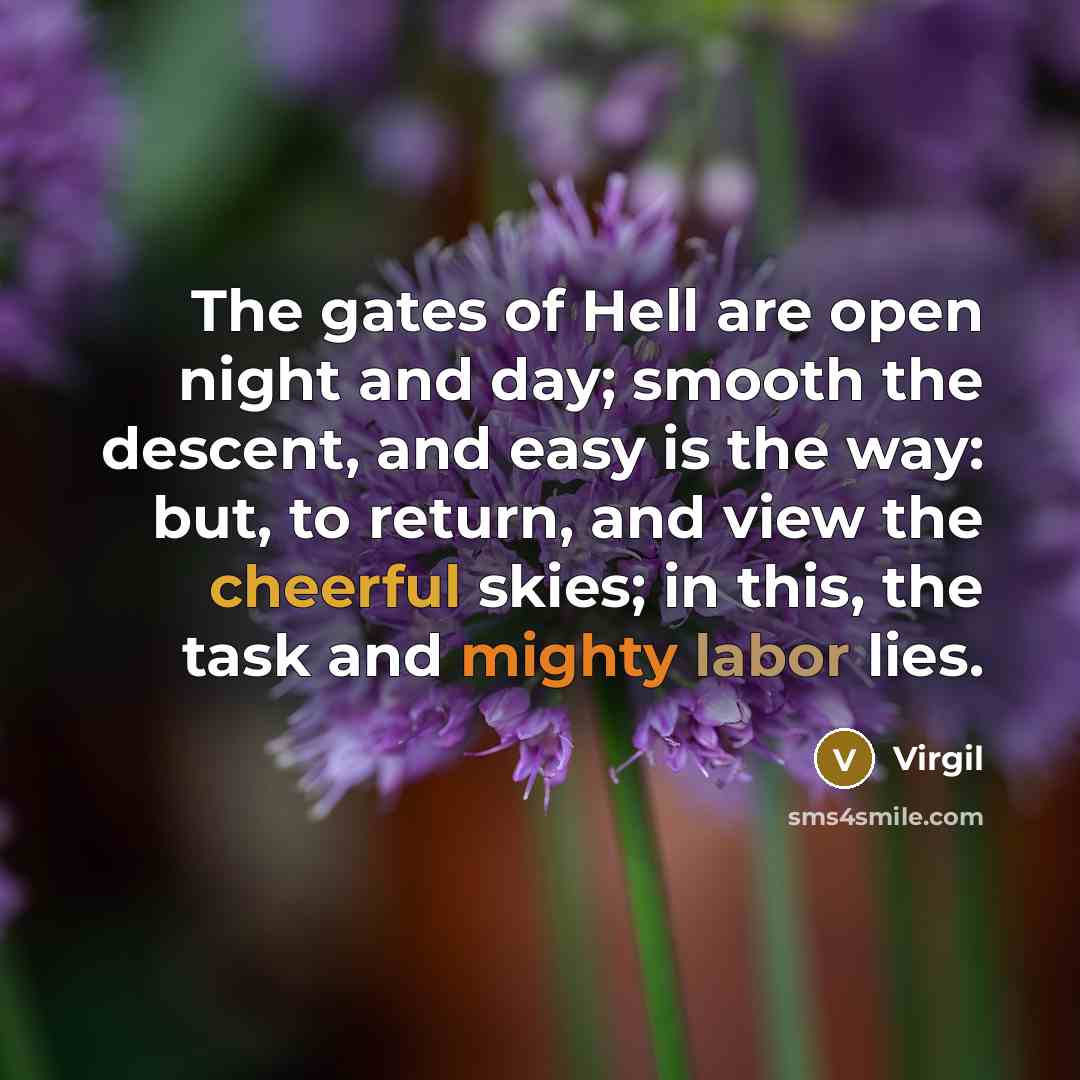 “The gates of Hell are open night and day; smooth the descent, and easy is the way: but, to return, and view the cheerful skies; in this, the task and mighty labor lies.” quote by Virgil