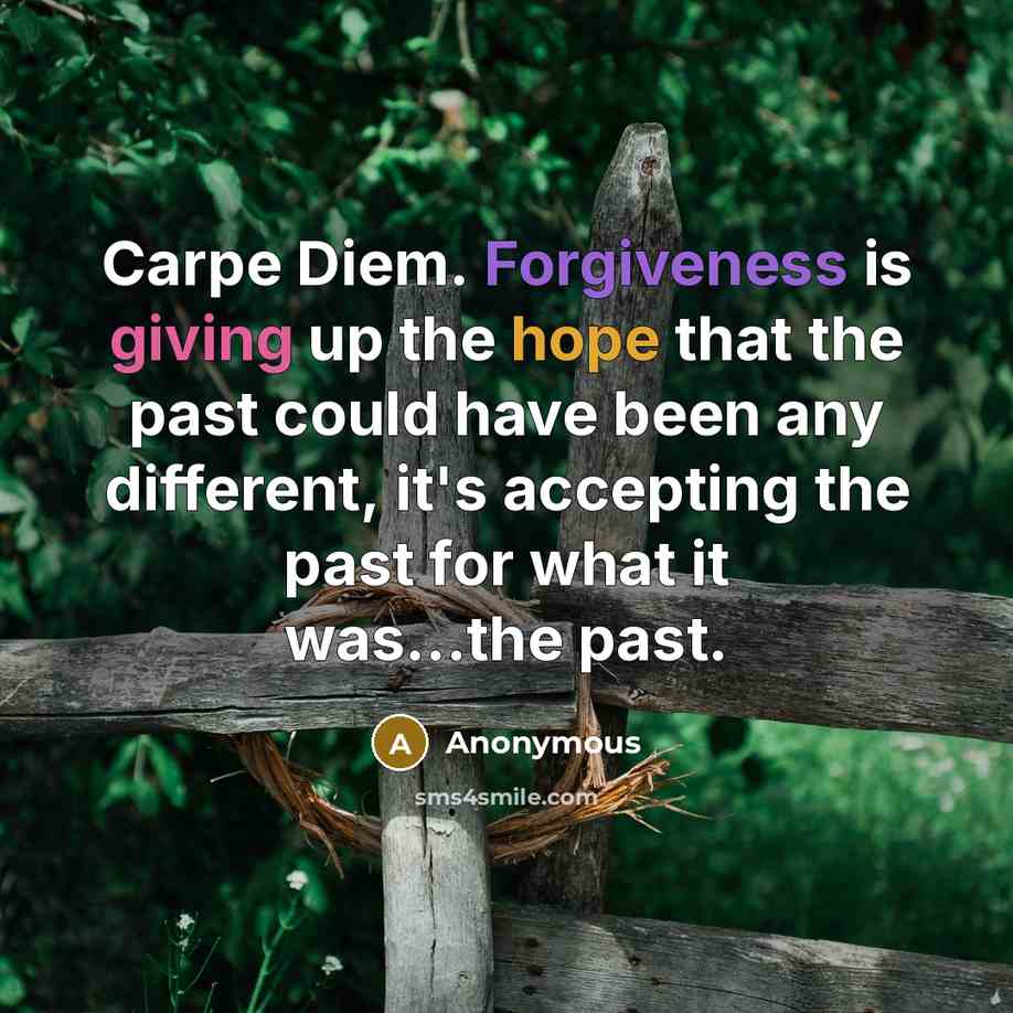 “Carpe Diem. Forgiveness is giving up the hope that the past could have been any different, it's accepting the past for what it was...the past.” quote by Anonymous