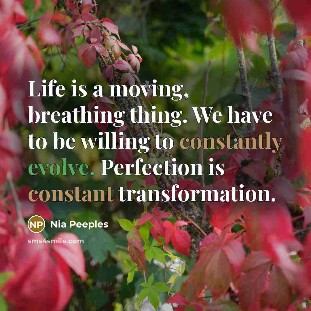 “Life is a moving, breathing thing. We have to be willing to constantly evolve. Perfection is constant transformation.” quote by Nia Peeples