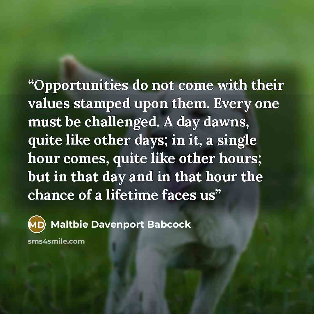 “Opportunities do not come with their values stamped upon them. Every one must be challenged. A day dawns, quite like other days; in it, a single hour comes, quite like other hours; but in that day and in that hour the chance of a lifetime faces us” quote by Maltbie Davenport Babcock
