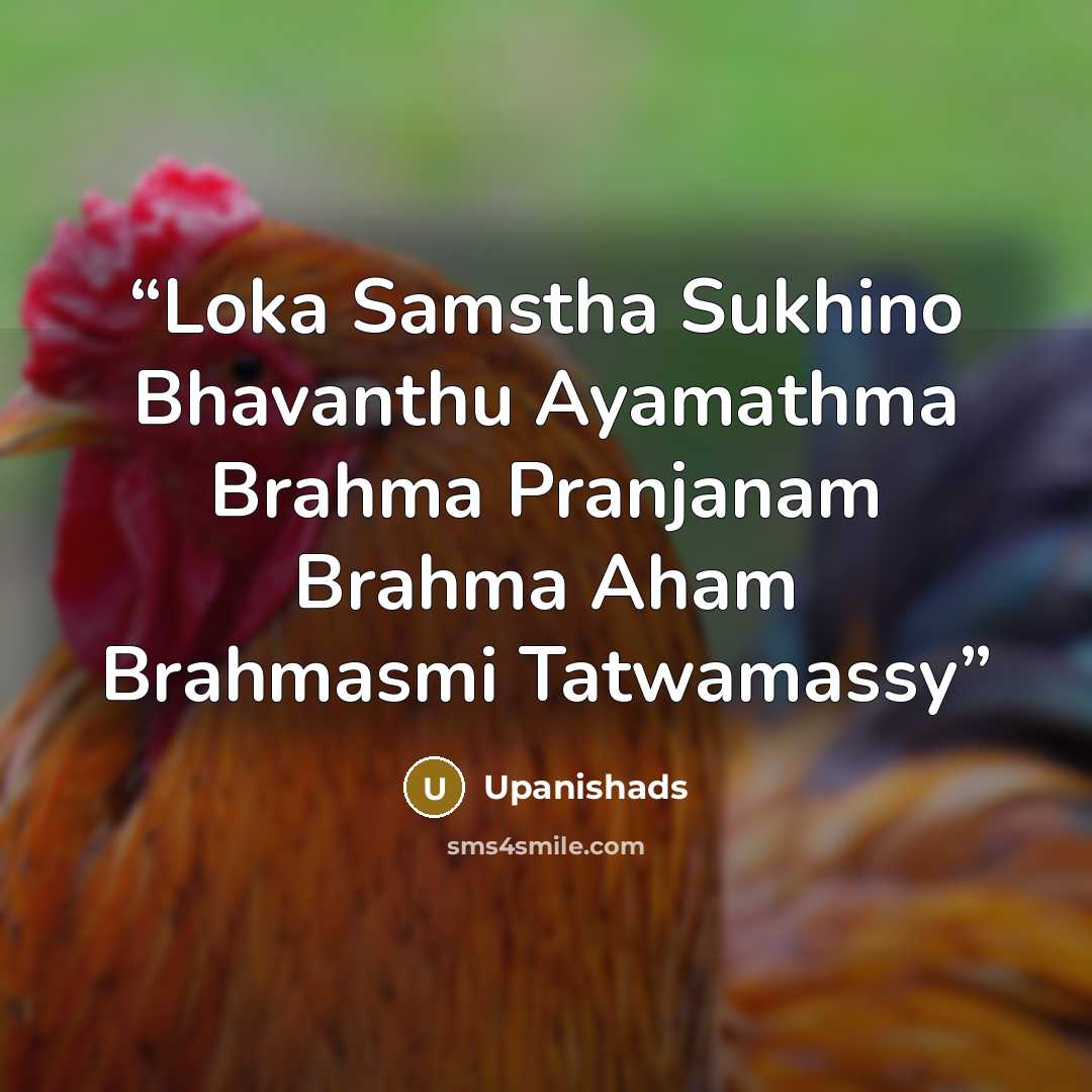“Loka Samstha Sukhino Bhavanthu Ayamathma Brahma Pranjanam Brahma Aham Brahmasmi Tatwamassy” quote by Upanishads