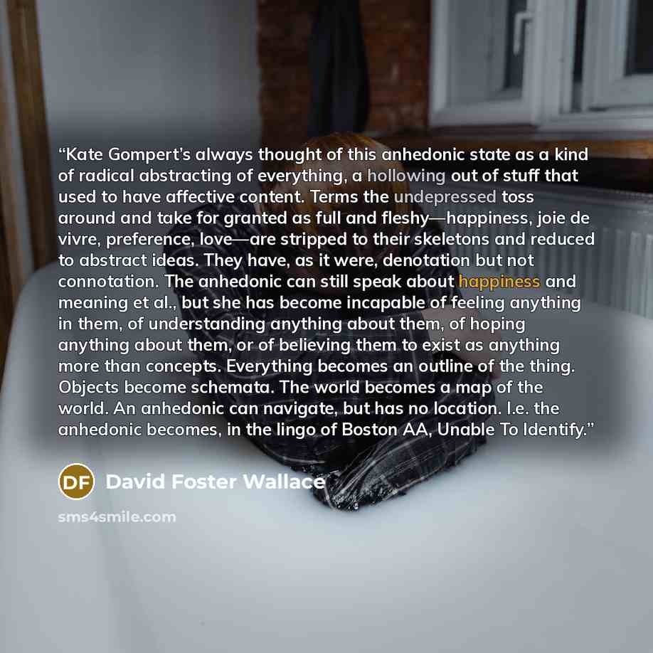 “Kate Gompert’s always thought of this anhedonic state as a kind of radical abstracting of everything, a hollowing out of stuff that used to have affective content. Terms the undepressed toss around and take for granted as full and fleshy—happiness, joie de vivre, preference, love—are stripped to…” quote by David Foster Wallace