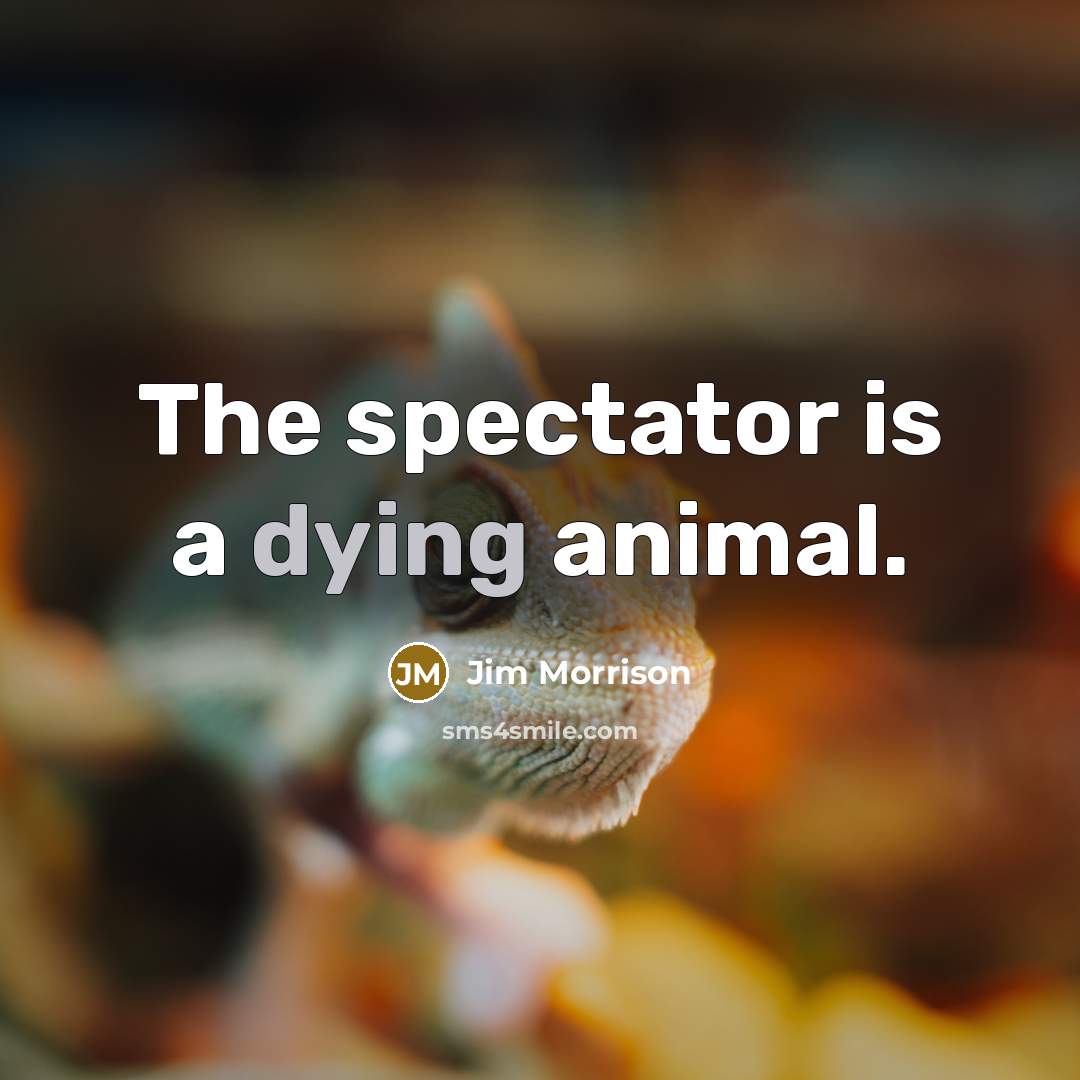 “The spectator is a dying animal.” quote by Jim Morrison