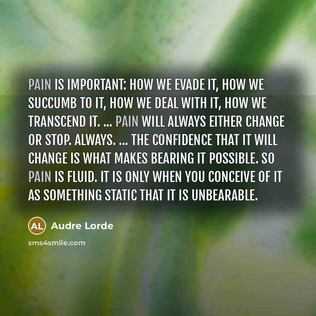 “Pain is important: how we evade it, how we succumb to it, how we deal with it, how we transcend it. ... pain will always either change or stop. Always. ... The confidence that it will change is what makes bearing it possible. So pain is fluid. It is only when you conceive of it as something static…” quote by Audre Lorde
