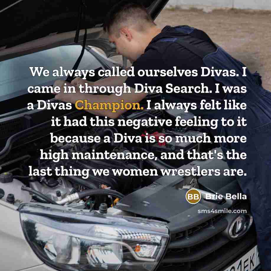 “We always called ourselves Divas. I came in through Diva Search. I was a Divas Champion. I always felt like it had this negative feeling to it because a Diva is so much more high maintenance, and that's the last thing we women wrestlers are.” quote by Brie Bella