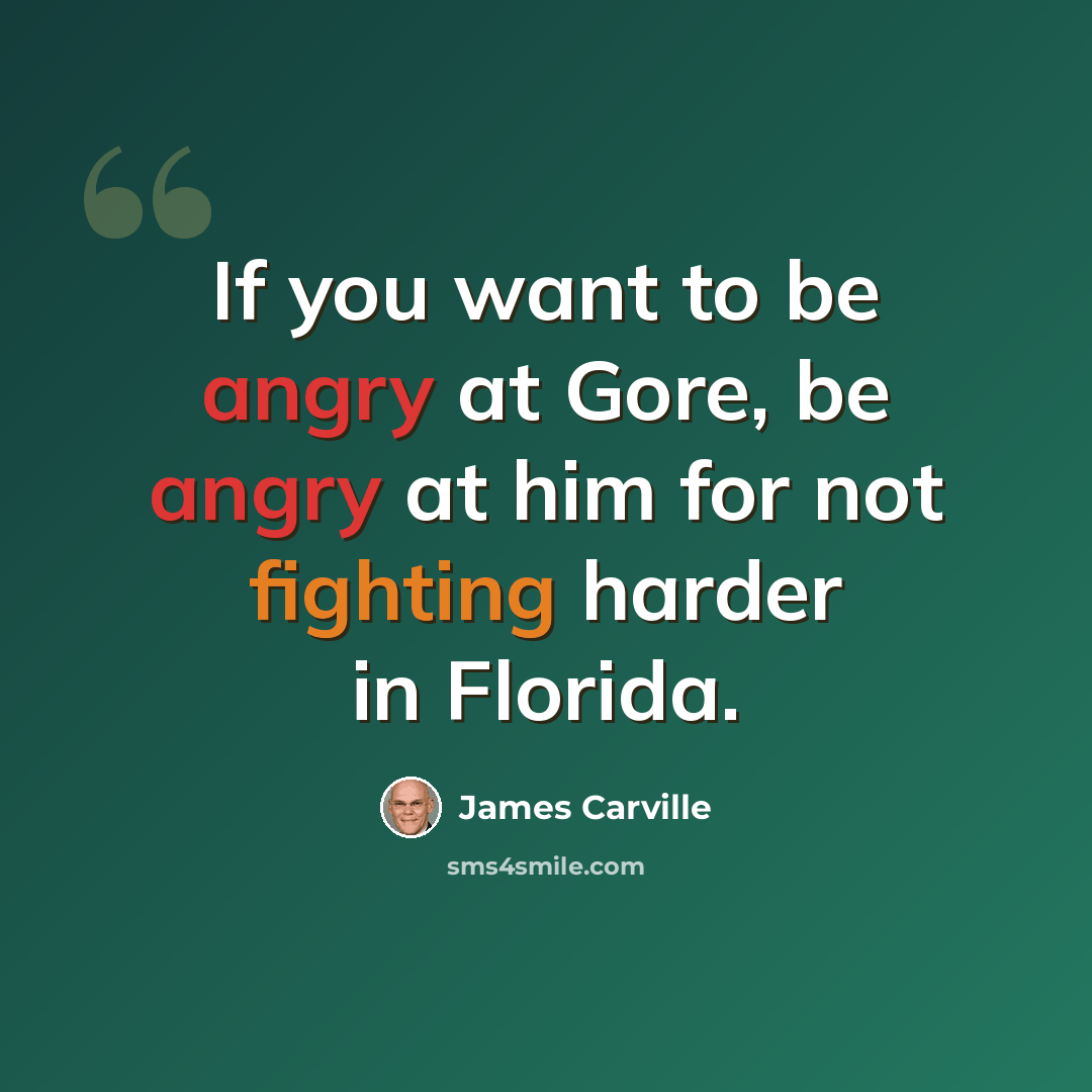 “If you want to be angry at Gore, be angry at him for not fighting harder in Florida.” quote by James Carville