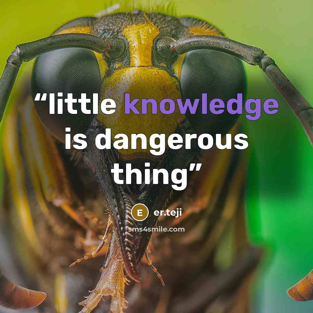 “little knowledge is dangerous thing” quote by er.teji