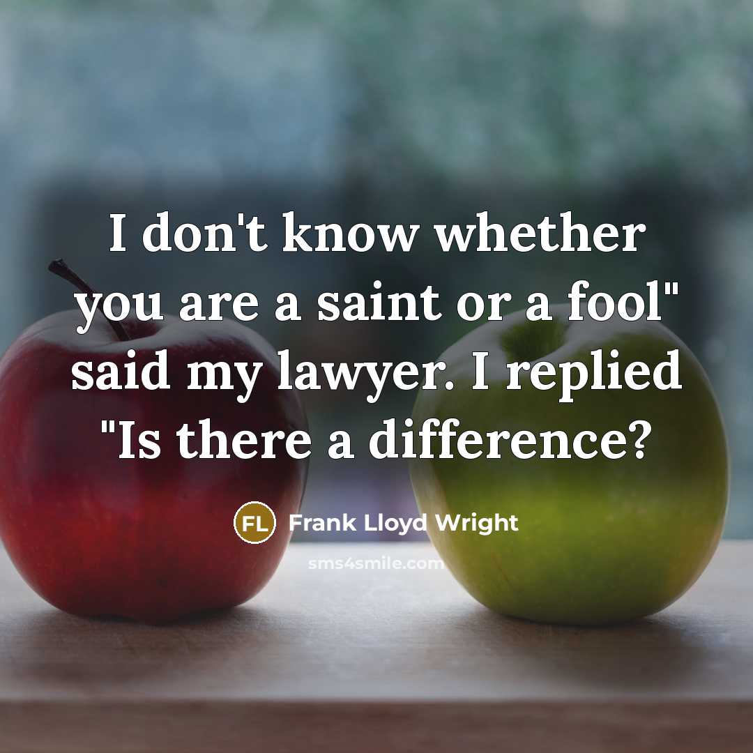 “I don't know whether you are a saint or a fool" said my lawyer. I replied "Is there a difference?” quote by Frank Lloyd Wright