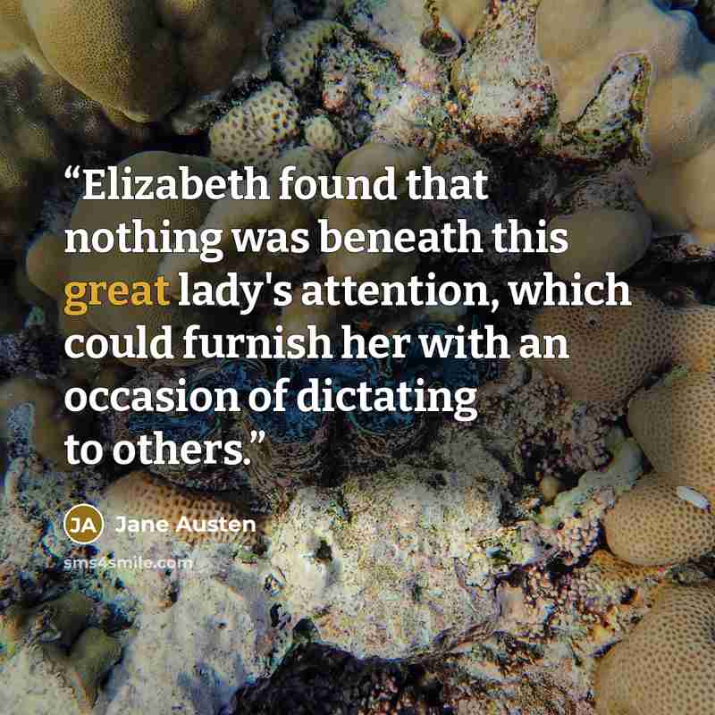 “Elizabeth found that nothing was beneath this great lady's attention, which could furnish her with an occasion of dictating to others.” quote by Jane Austen