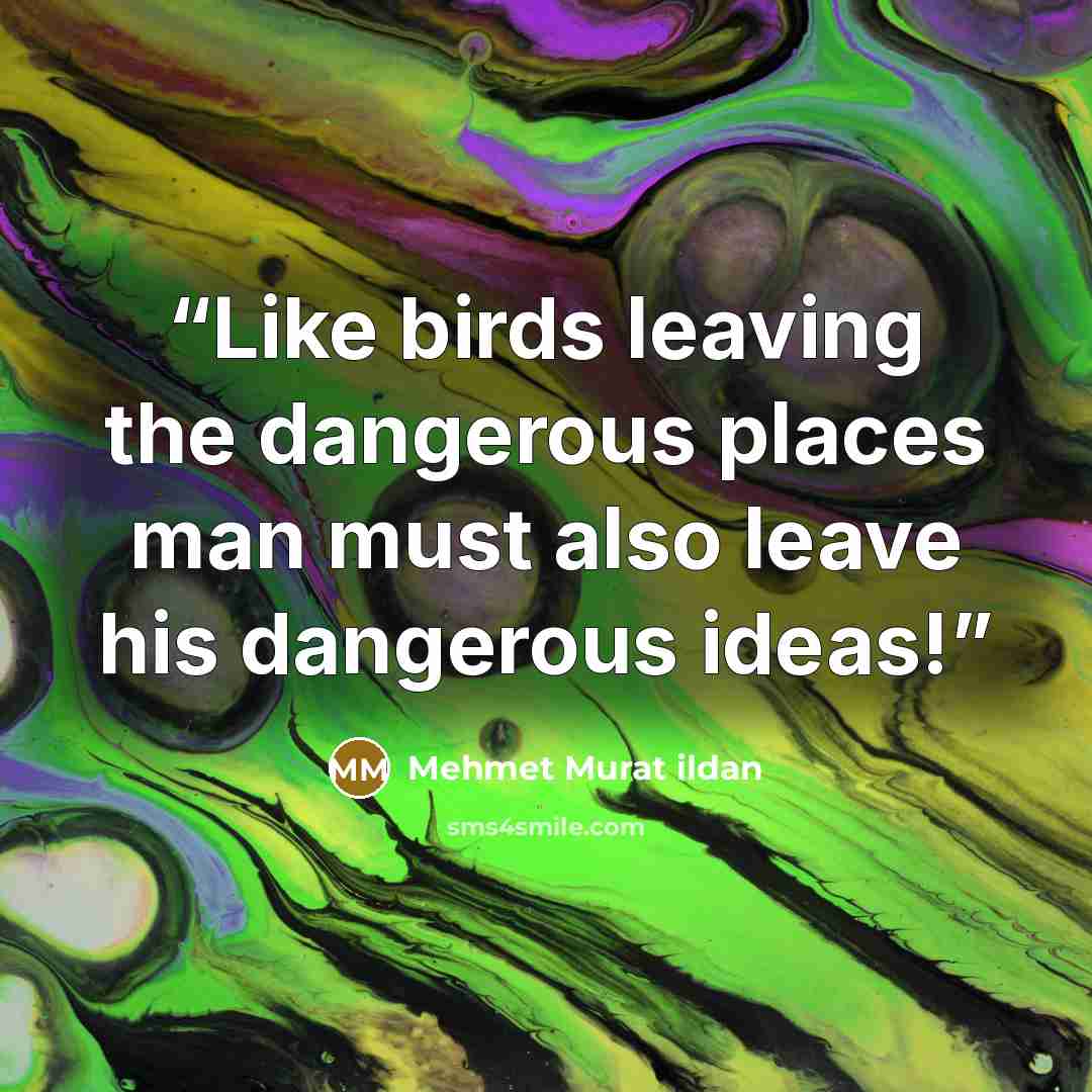 “Like birds leaving the dangerous places man must also leave his dangerous ideas!” quote by Mehmet Murat ildan