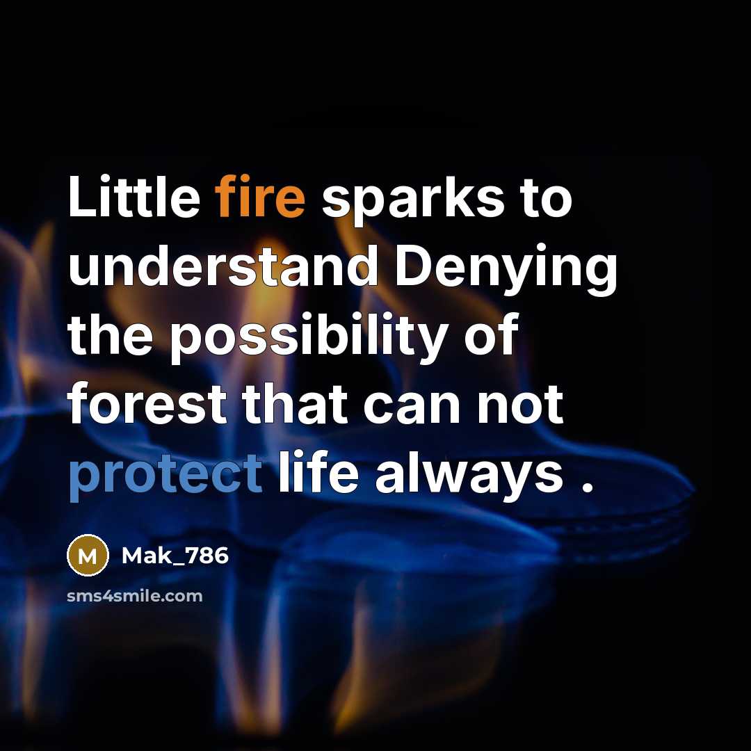 “Little fire sparks to understand Denying the possibility of forest that can not protect life always .” quote by Mak_786