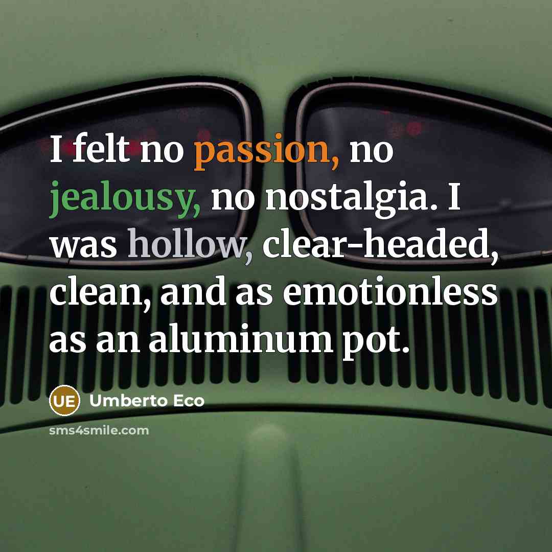 “I felt no passion, no jealousy, no nostalgia. I was hollow, clear-headed, clean, and as emotionless as an aluminum pot.” quote by Umberto Eco