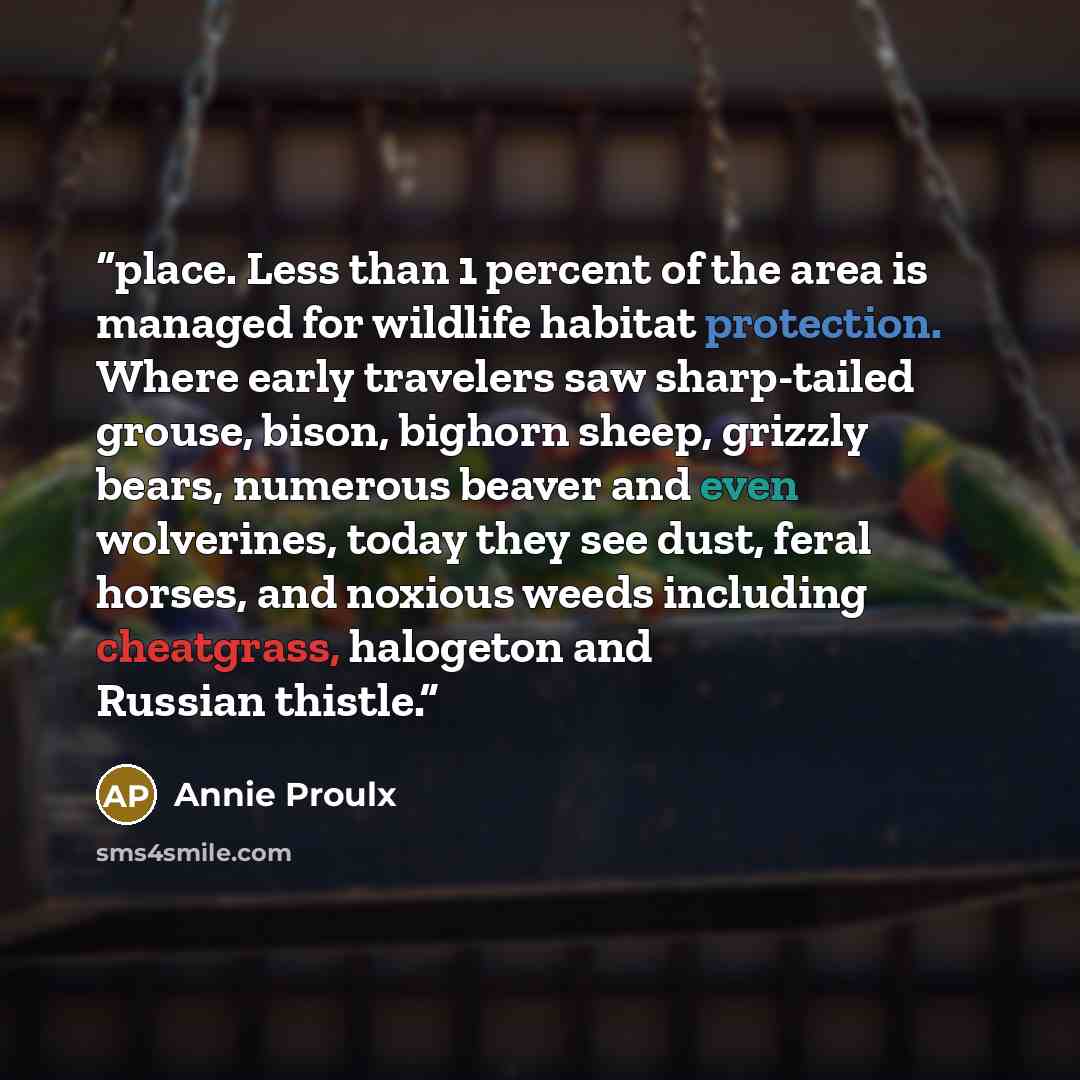 “place. Less than 1 percent of the area is managed for wildlife habitat protection. Where early travelers saw sharp-tailed grouse, bison, bighorn sheep, grizzly bears, numerous beaver and even wolverines, today they see dust, feral horses, and noxious weeds including cheatgrass, halogeton and…” quote by Annie Proulx