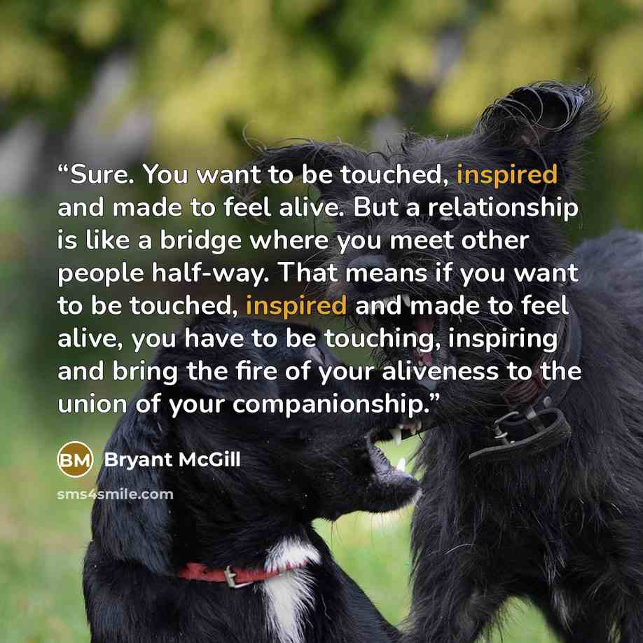 “Sure. You want to be touched, inspired and made to feel alive. But a relationship is like a bridge where you meet other people half-way. That means if you want to be touched, inspired and made to feel alive, you have to be touching, inspiring and bring the fire of your aliveness to the union of…” quote by Bryant McGill
