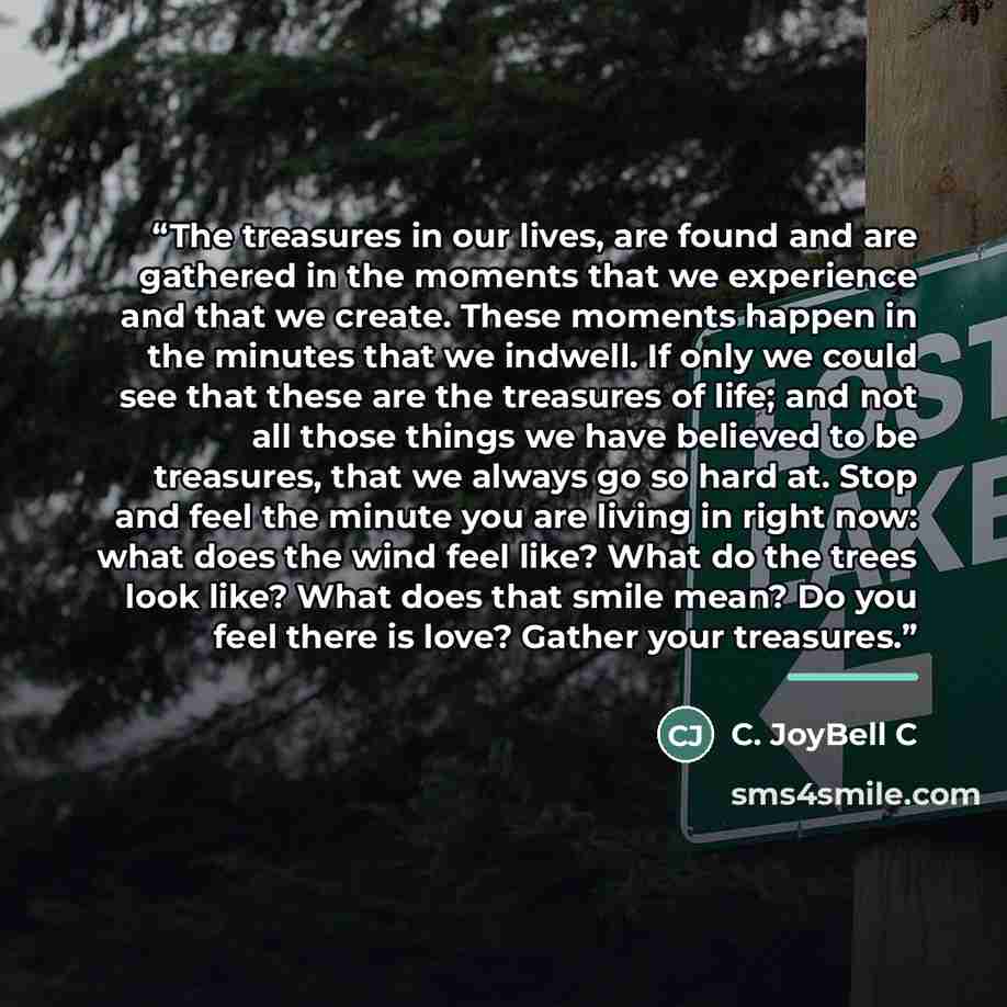 “The treasures in our lives, are found and are gathered in the moments that we experience and that we create. These moments happen in the minutes that we indwell. If only we could see that these are the treasures of life; and not all those things we have believed to be treasures, that we always go…” quote by C. JoyBell C