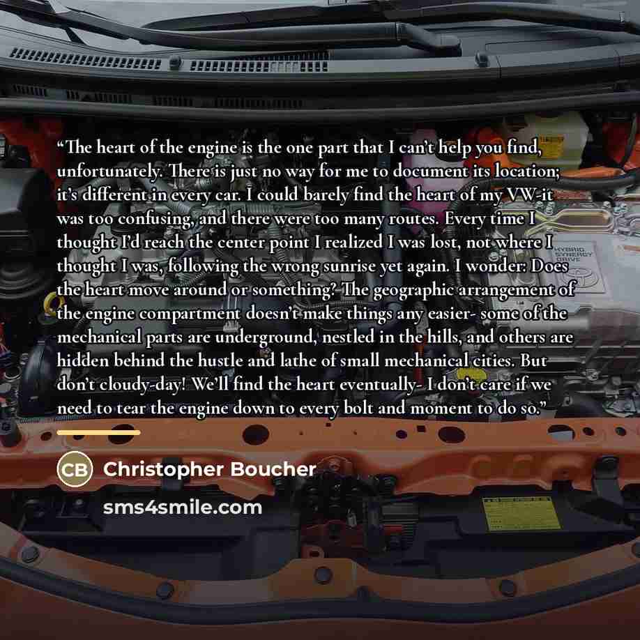 “The heart of the engine is the one part that I can’t help you find, unfortunately. There is just no way for me to document its location; it’s different in every car. I could barely find the heart of my VW-it was too confusing, and there were too many routes. Every time I thought I’d reach the…” quote by Christopher Boucher