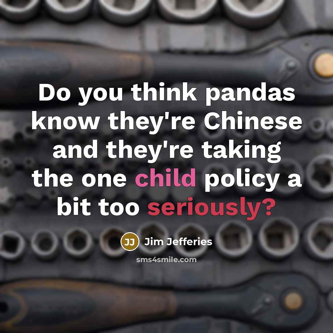 “Do you think pandas know they're Chinese and they're taking the one child policy a bit too seriously?” quote by Jim Jefferies