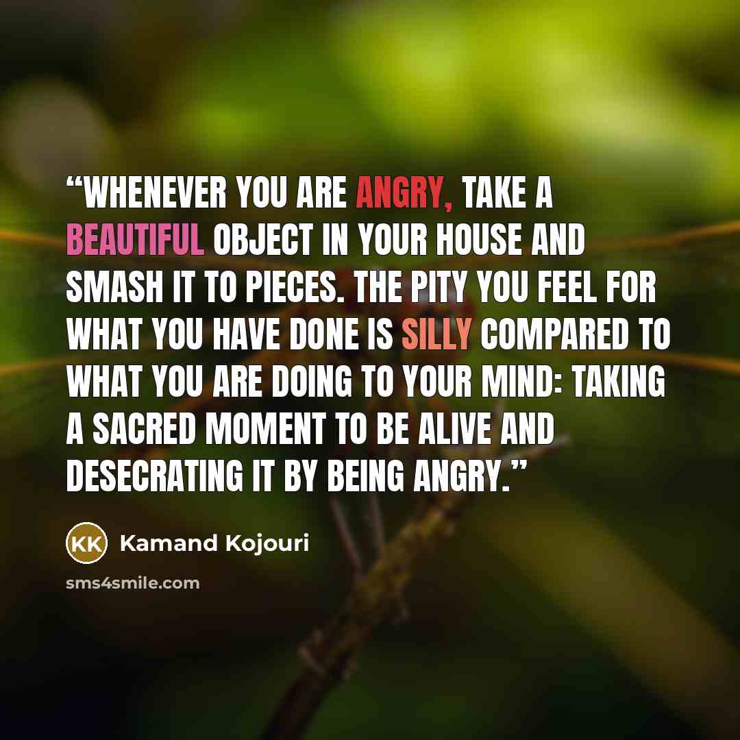 “Whenever you are angry, take a beautiful object in your house and smash it to pieces. The pity you feel for what you have done is silly compared to what you are doing to your mind: taking a sacred moment to be alive and desecrating it by being angry.” quote by Kamand Kojouri