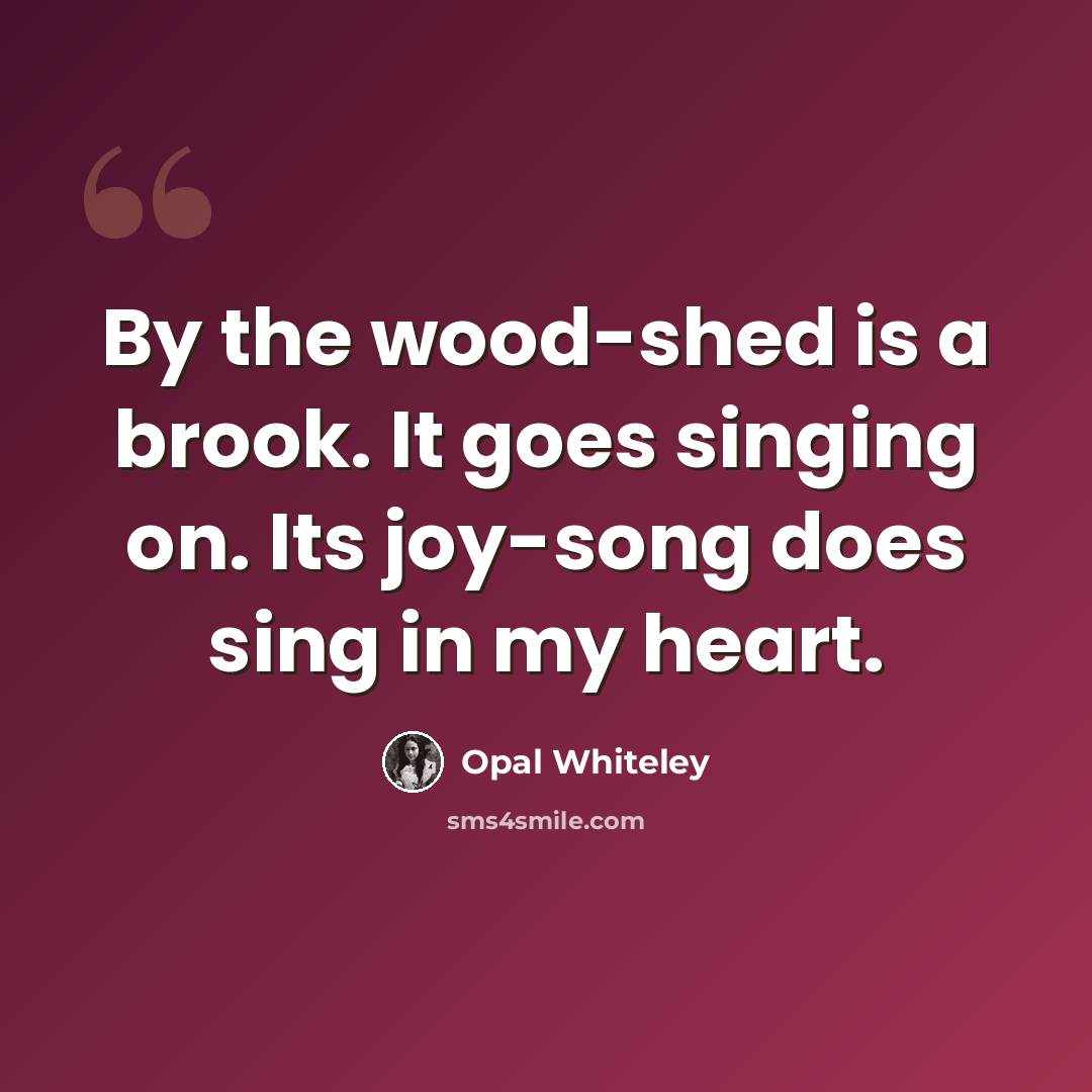 “By the wood-shed is a brook. It goes singing on. Its joy-song does sing in my heart.” quote by Opal Whiteley