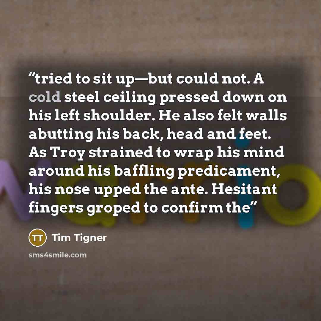 “tried to sit up—but could not. A cold steel ceiling pressed down on his left shoulder. He also felt walls abutting his back, head and feet. As Troy strained to wrap his mind around his baffling predicament, his nose upped the ante. Hesitant fingers groped to confirm the” quote by Tim Tigner
