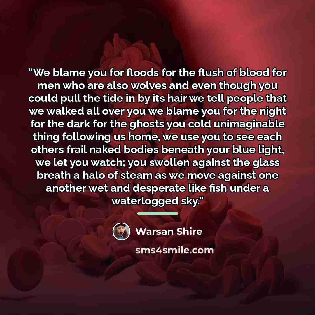 “We blame you for floods for the flush of blood for men who are also wolves and even though you could pull the tide in by its hair we tell people that we walked all over you we blame you for the night for the dark for the ghosts you cold unimaginable thing following us home, we use you to see each…” quote by Warsan Shire