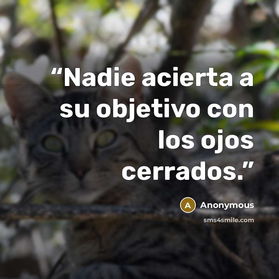 “Nadie acierta a su objetivo con los ojos cerrados.” quote by Anonymous