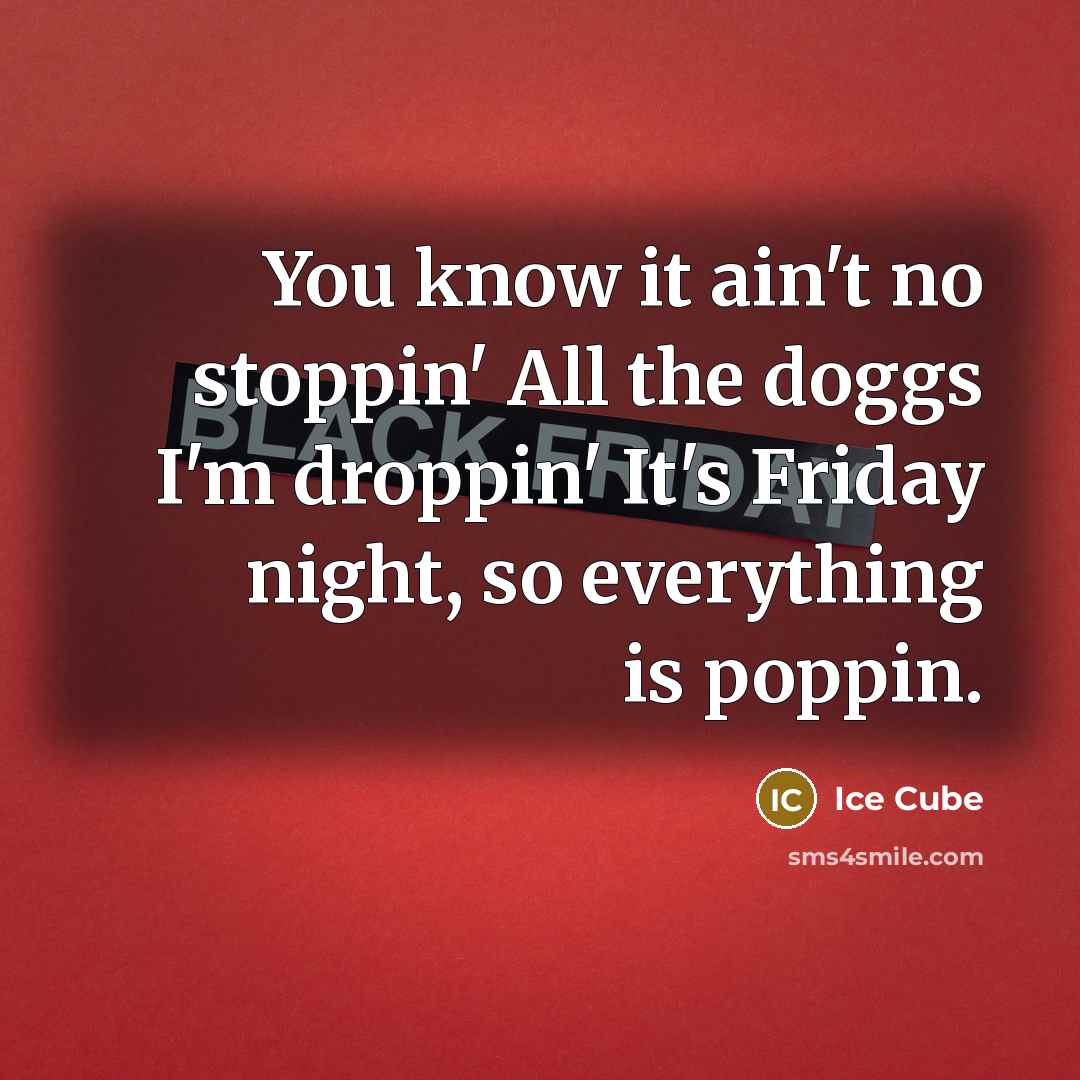 “You know it ain't no stoppin' All the doggs I'm droppin' It's Friday night, so everything is poppin.” quote by Ice Cube
