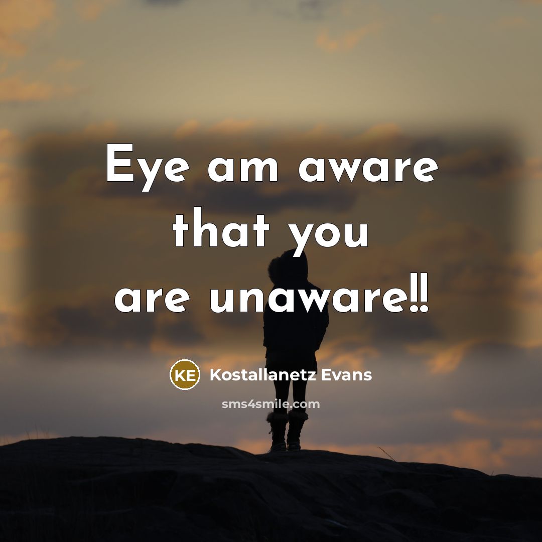 “Eye am aware that you are unaware!!” quote by Kostallanetz Evans