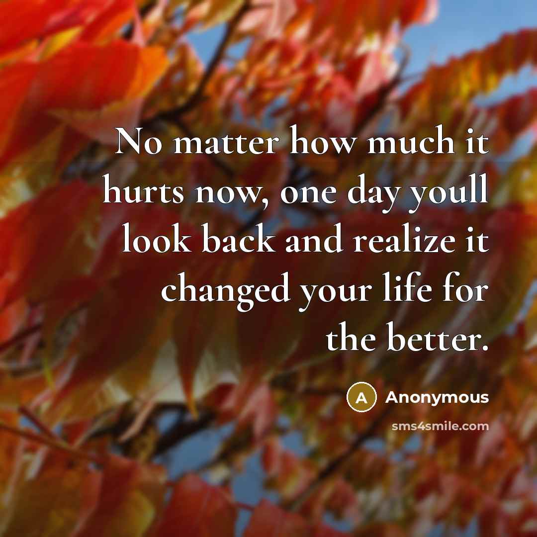 “No matter how much it hurts now, one day youll look back and realize it changed your life for the better.” quote by Anonymous