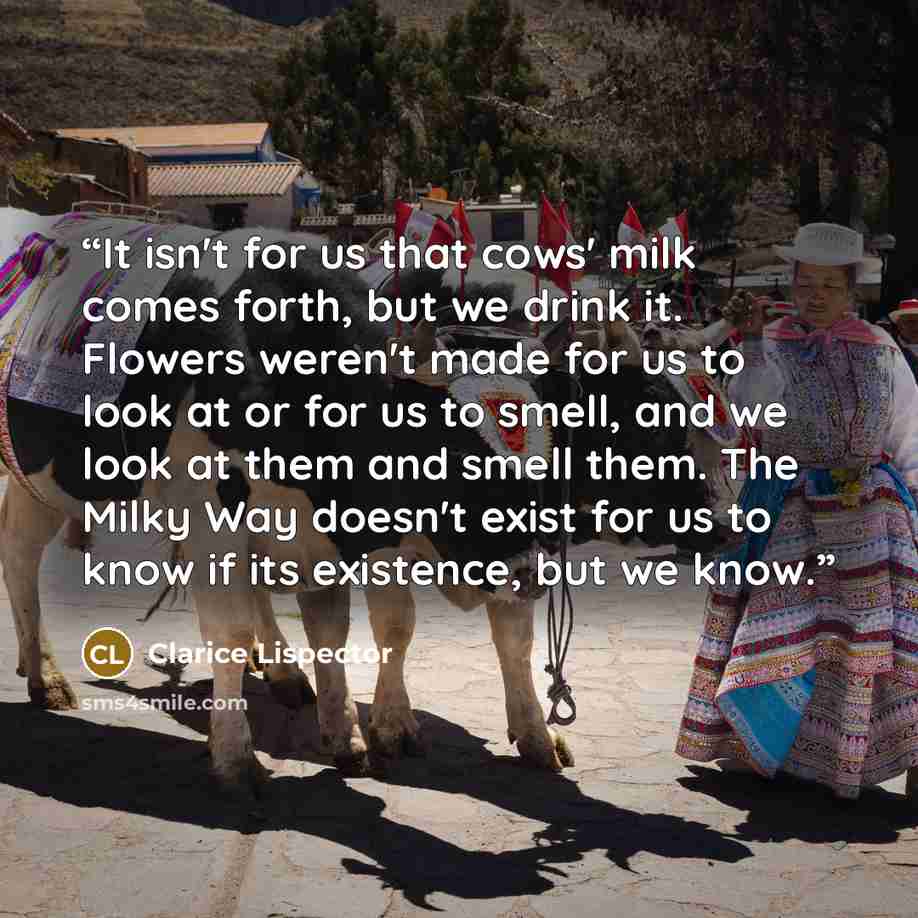 “It isn't for us that cows' milk comes forth, but we drink it. Flowers weren't made for us to look at or for us to smell, and we look at them and smell them. The Milky Way doesn't exist for us to know if its existence, but we know.” quote by Clarice Lispector