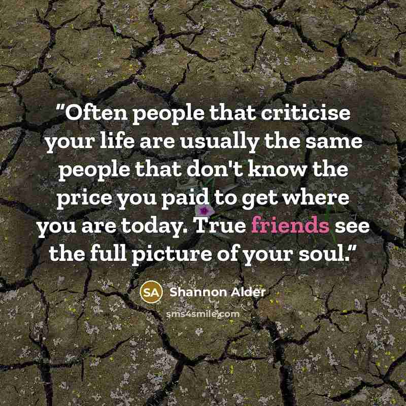 “Often people that criticise your life are usually the same people that don't know the price you paid to get where you are today. True friends see the full picture of your soul.” quote by Shannon Alder