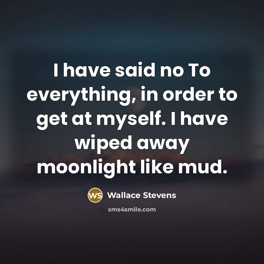 “I have said no To everything, in order to get at myself. I have wiped away moonlight like mud.” quote by Wallace Stevens