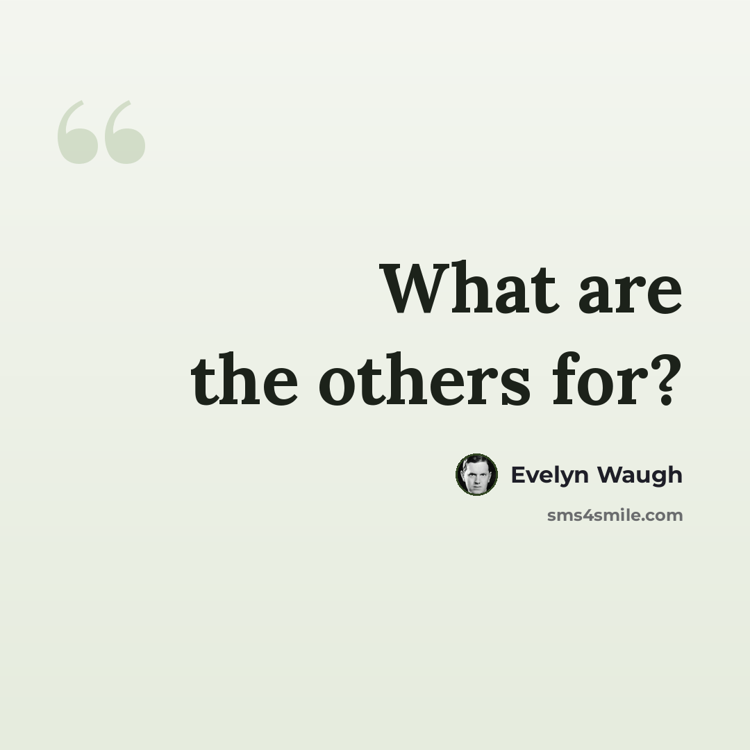 “What are the others for?” quote by Evelyn Waugh