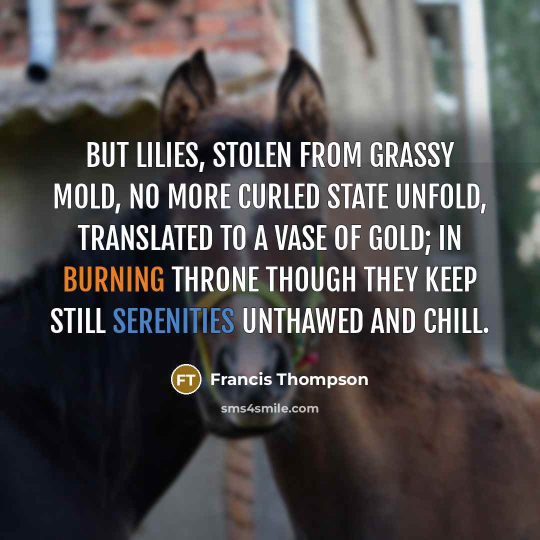 “But lilies, stolen from grassy mold, No more curled state unfold, Translated to a vase of gold; In burning throne though they keep still Serenities unthawed and chill.” quote by Francis Thompson