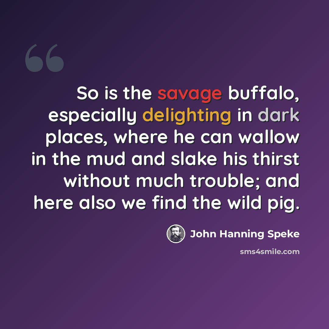 “So is the savage buffalo, especially delighting in dark places, where he can wallow in the mud and slake his thirst without much trouble; and here also we find the wild pig.” quote by John Hanning Speke