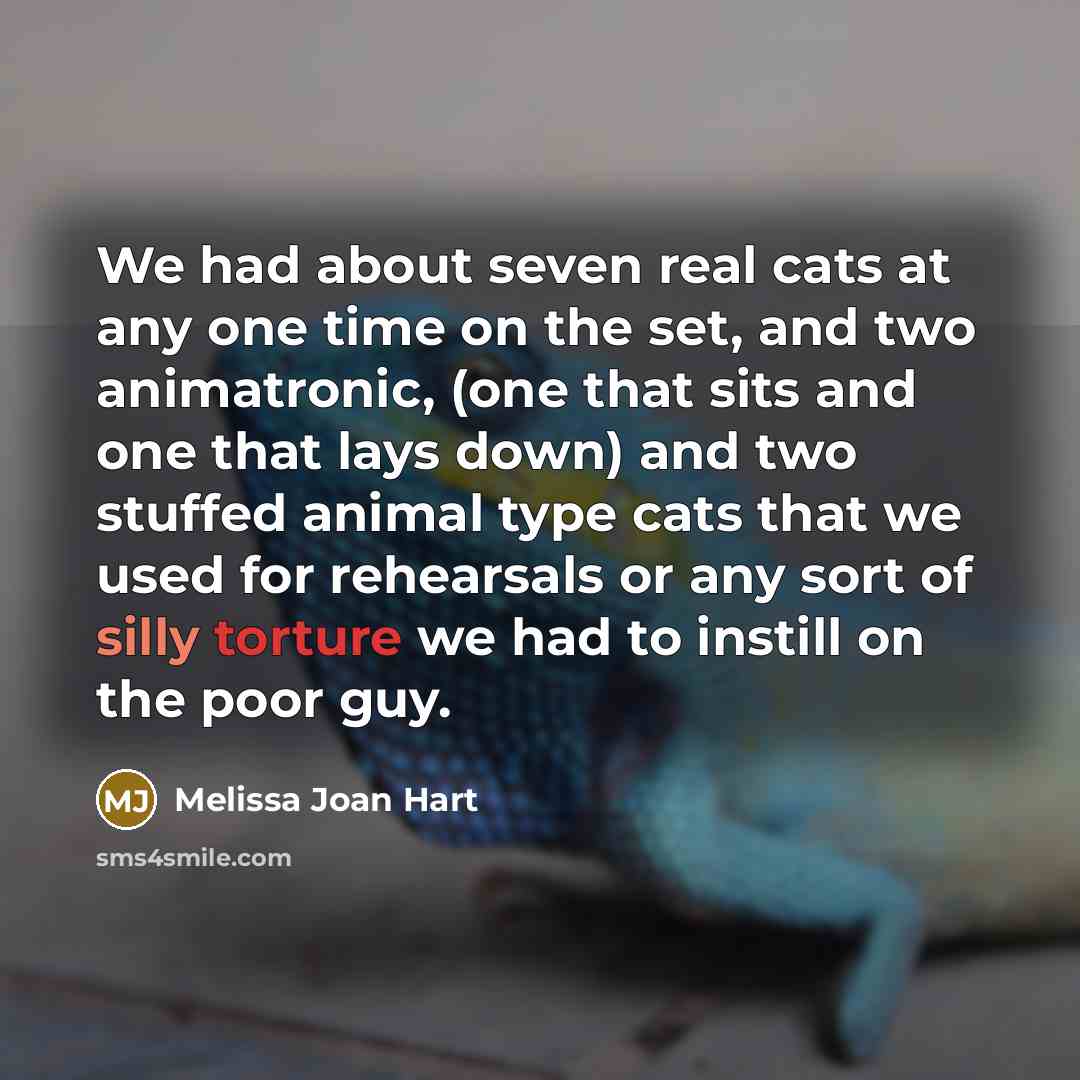 “We had about seven real cats at any one time on the set, and two animatronic, (one that sits and one that lays down) and two stuffed animal type cats that we used for rehearsals or any sort of silly torture we had to instill on the poor guy.” quote by Melissa Joan Hart