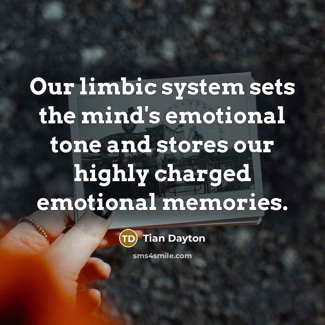 “Our limbic system sets the mind's emotional tone and stores our highly charged emotional memories.” quote by Tian Dayton
