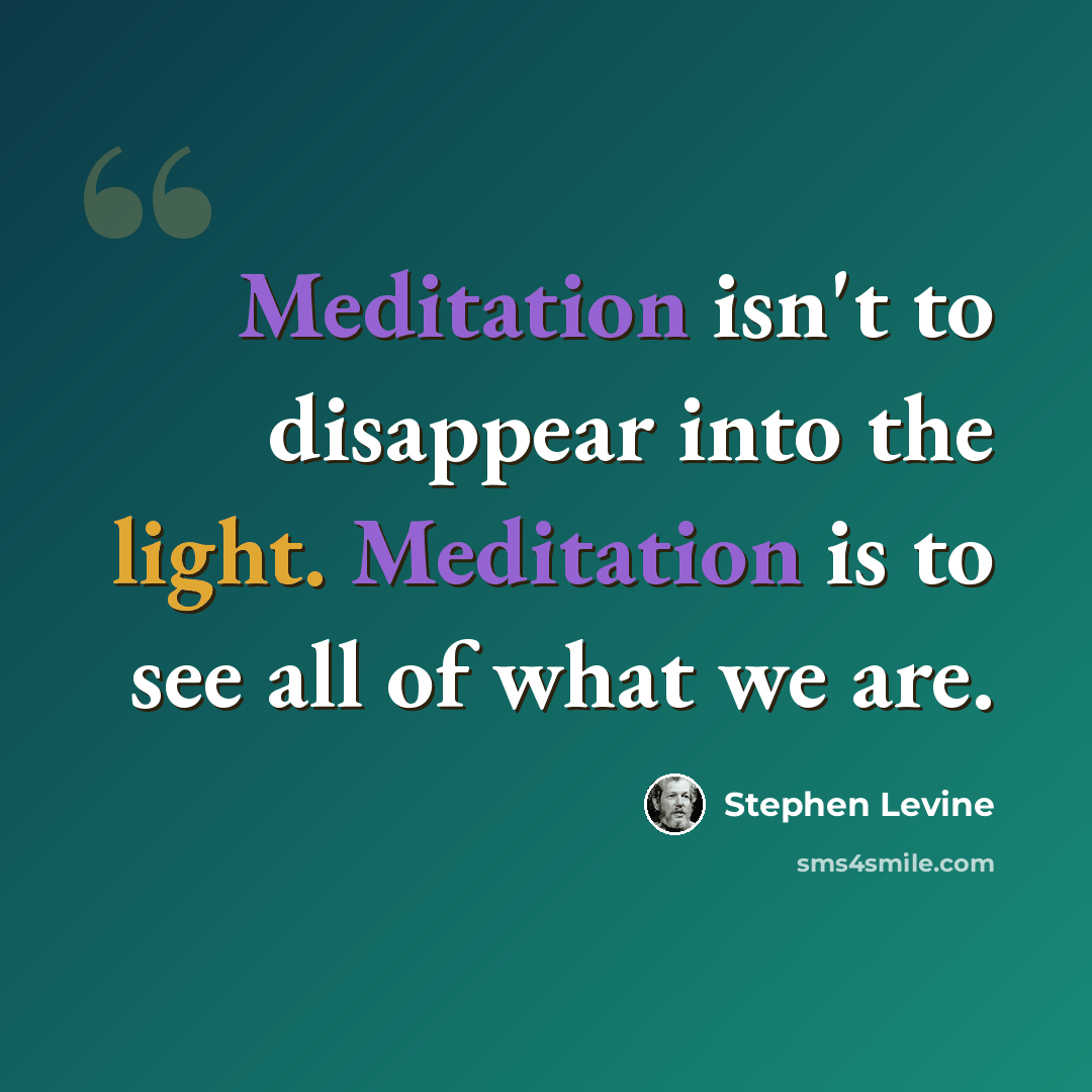 “Meditation isn't to disappear into the light. Meditation is to see all of what we are.” quote by Stephen Levine